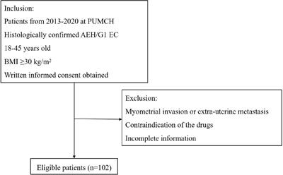 Fertility-Sparing Treatment for Endometrial Cancer or Atypical Endometrial Hyperplasia Patients With Obesity